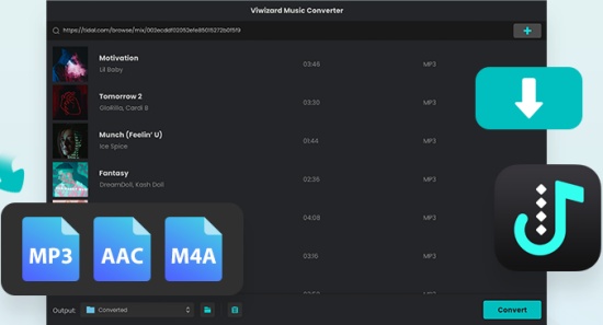 viwizard tidal music converter chromebook