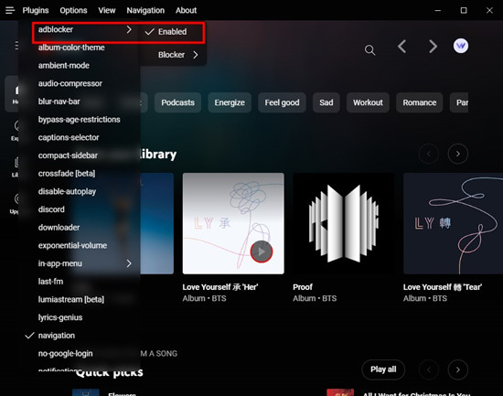 youtube music web adblocker enabled