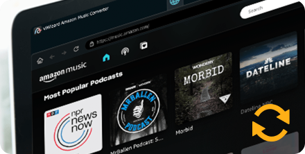 [Offiziell] Amazon Music Converter kostenlos Download - ViWizard