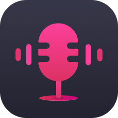 viwizard audio capture icon