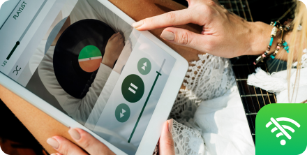 smart line music offline solutions