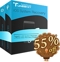 iOS System + Data Recovery