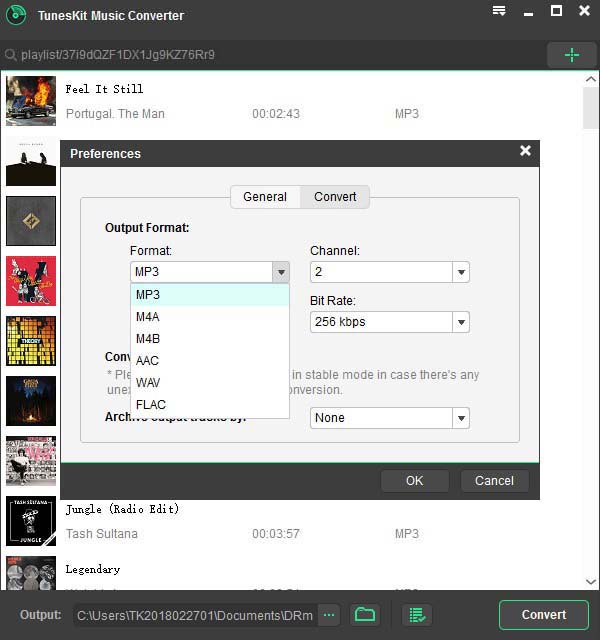 select mp3 output format